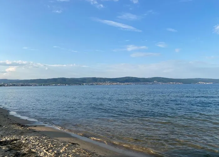 Paradiso 'в' 111 Large *